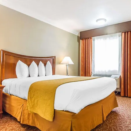 Quality Inn Sacramento Convention Center-3