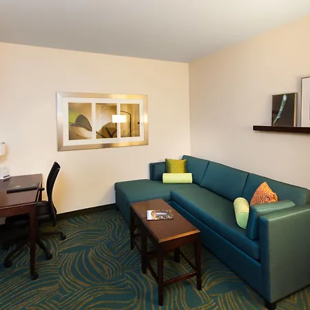 Springhill Suites By Marriott Sacramento Natomas-3